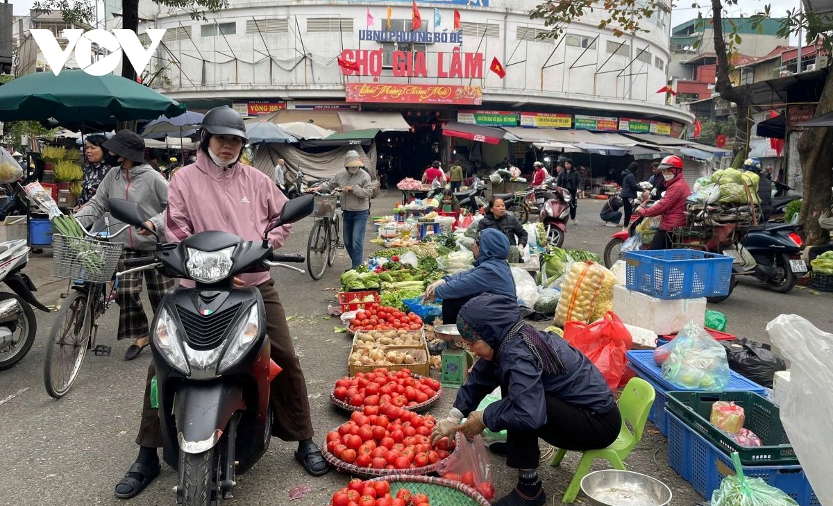 Post-Tet market stabilises as supplies remain abundant nationwide